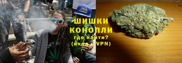 PSILOCYBIN Белокуриха